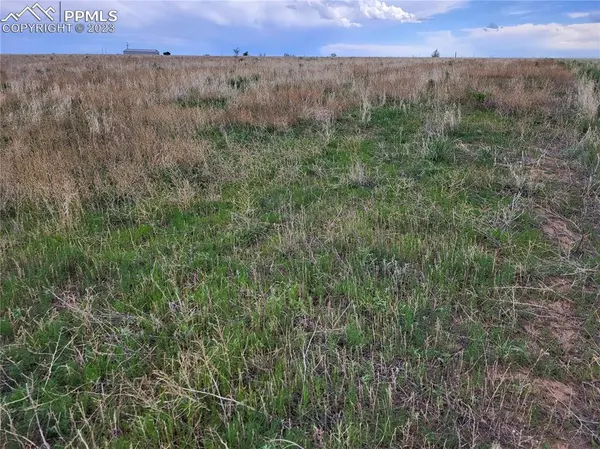 40450 Hoot Owl RD, Ramah, CO 80832