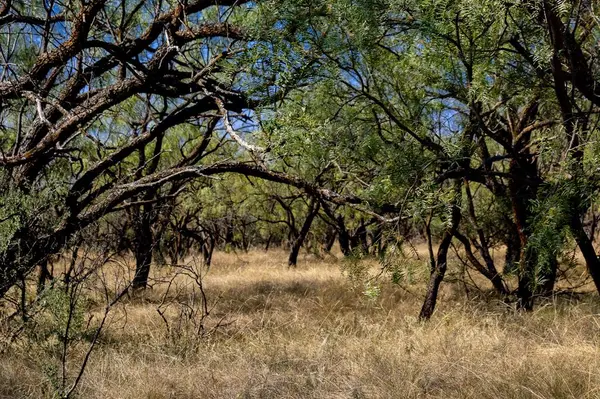 TBD County Road 242, Clyde, TX 79510