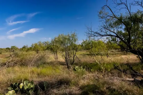 TBD County Road 242, Clyde, TX 79510