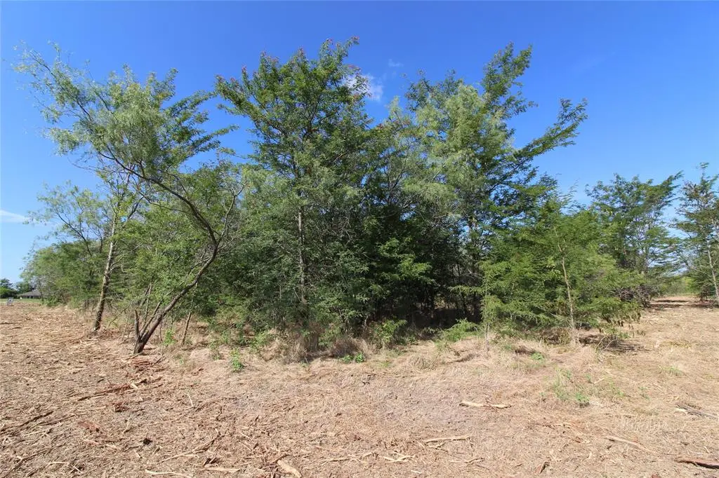 TBD Lot 2 County Road 146, Kaufman, TX 75142