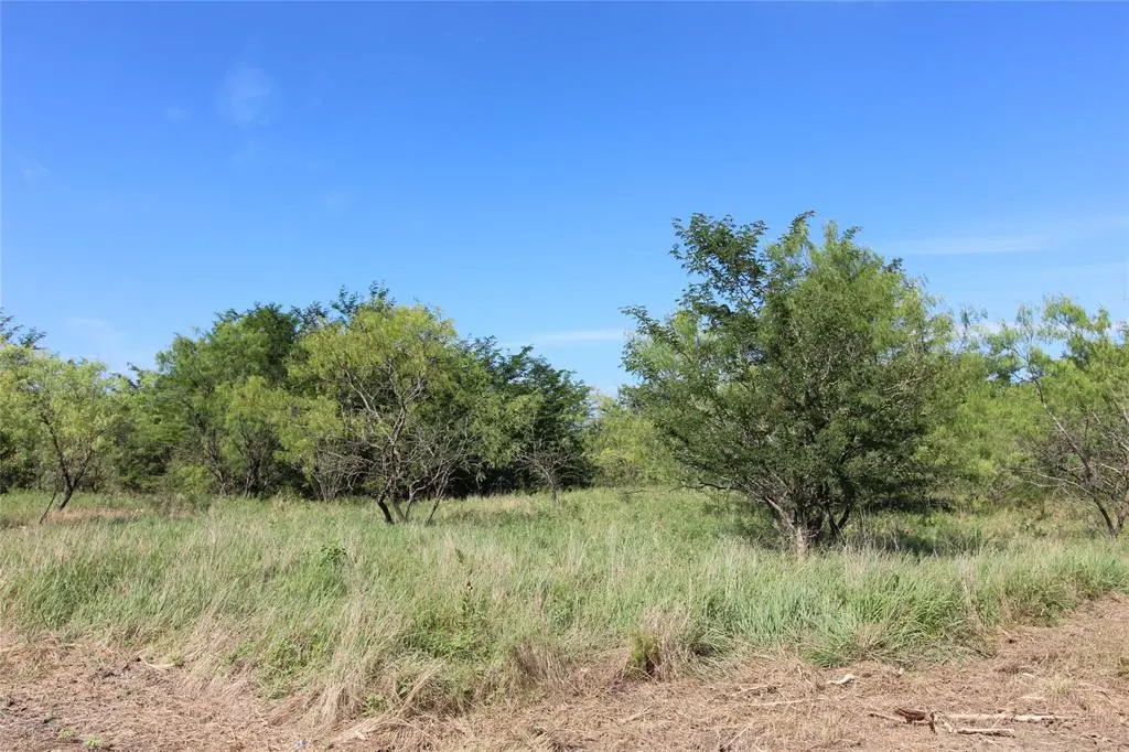 TBD Lot 3 County Road 146, Kaufman, TX 75142