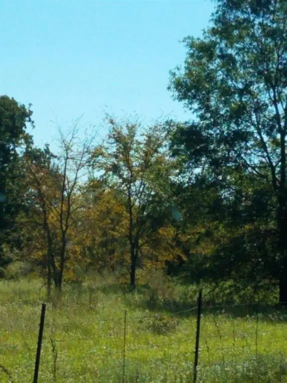 10490 BROWNING Street,  Brownsboro,  TX 75756