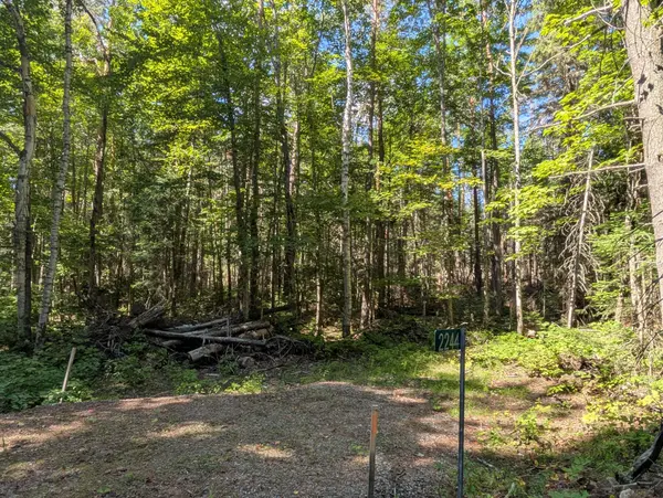 2244 YEARLEY RD, Mcmurrich/monteith, ON P0A 1Y0