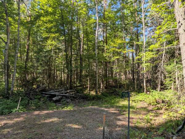 2244 YEARLEY RD, Mcmurrich/monteith, ON P0A 1Y0