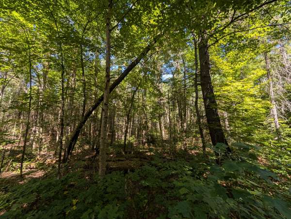 2244 YEARLEY RD, Mcmurrich/monteith, ON P0A 1Y0