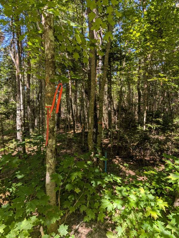 2244 YEARLEY RD, Mcmurrich/monteith, ON P0A 1Y0