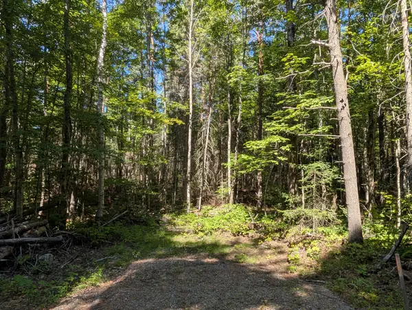 2246 YEARLEY RD, Mcmurrich/monteith, ON P0A 1Y0