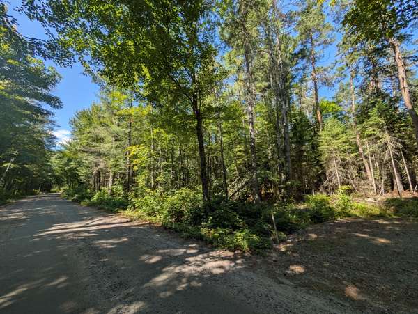 2246 YEARLEY RD, Mcmurrich/monteith, ON P0A 1Y0