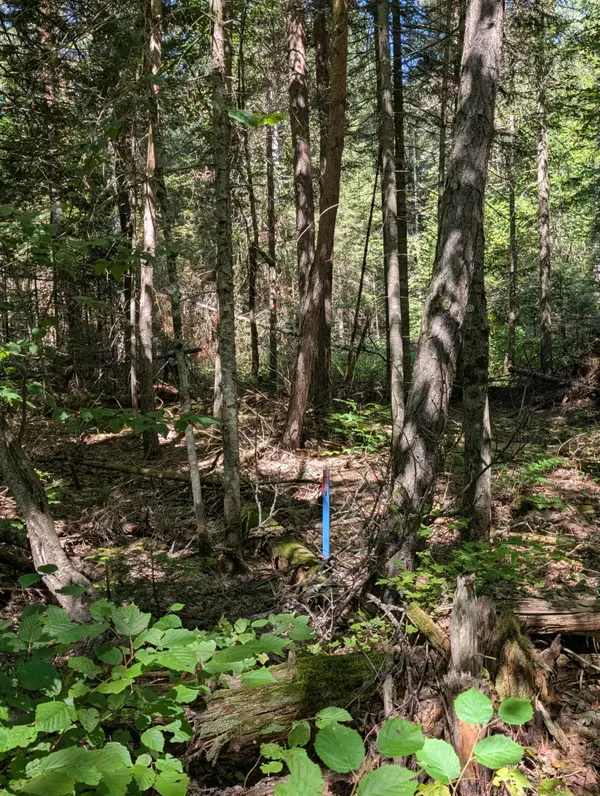 2246 YEARLEY RD, Mcmurrich/monteith, ON P0A 1Y0