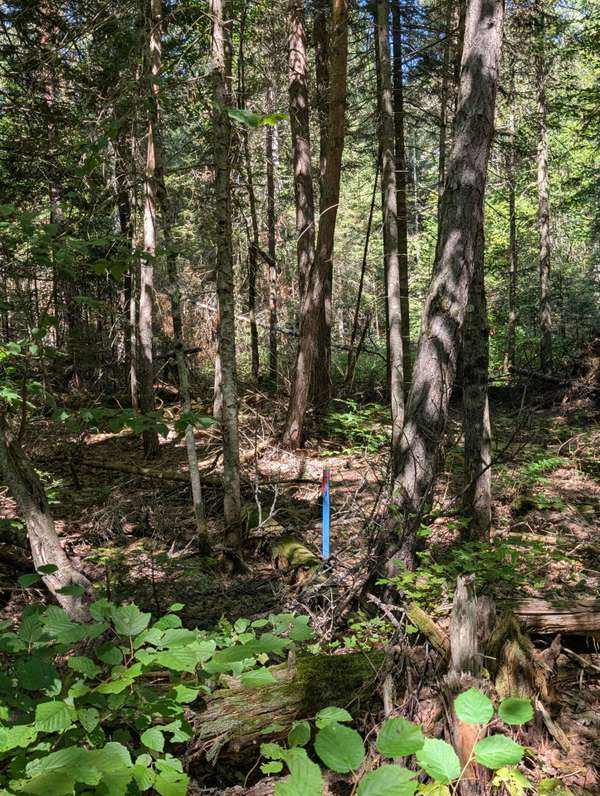 2246 YEARLEY RD, Mcmurrich/monteith, ON P0A 1Y0