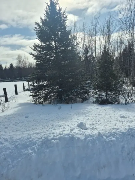 PT LOT 6 CON 24 CAMERON RD, Papineau-cameron, ON P0H 1V0