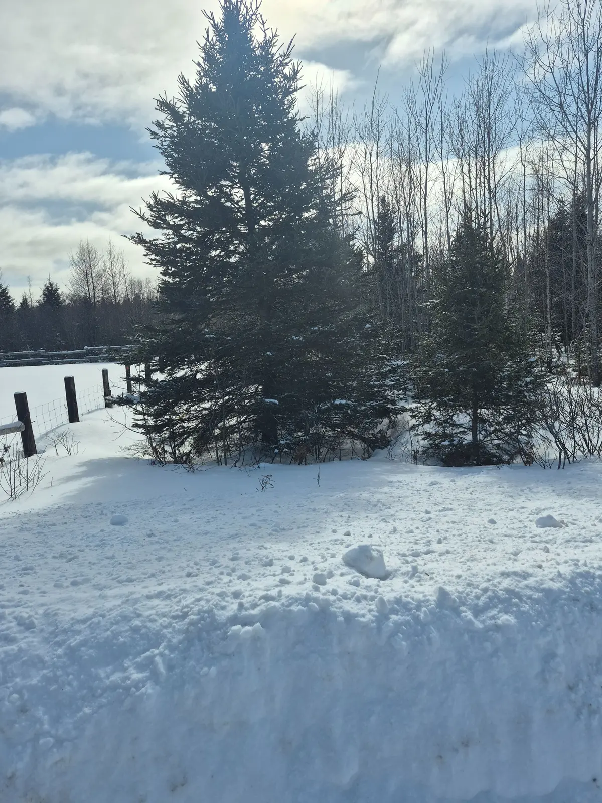 PT LOT 6 CON 24 CAMERON RD, Papineau-cameron, ON P0H 1V0