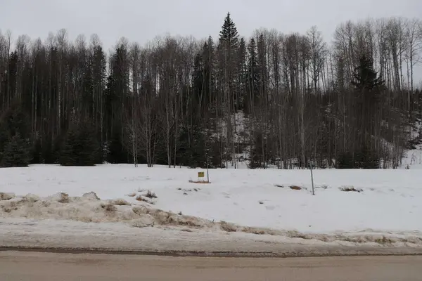 16511 Township Road 532A #22, Rural Yellowhead County, AB T7E 3A6