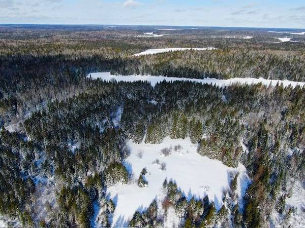 LT 7 CON 7 HANLAN Township, Hearst, ON P0L 1N0