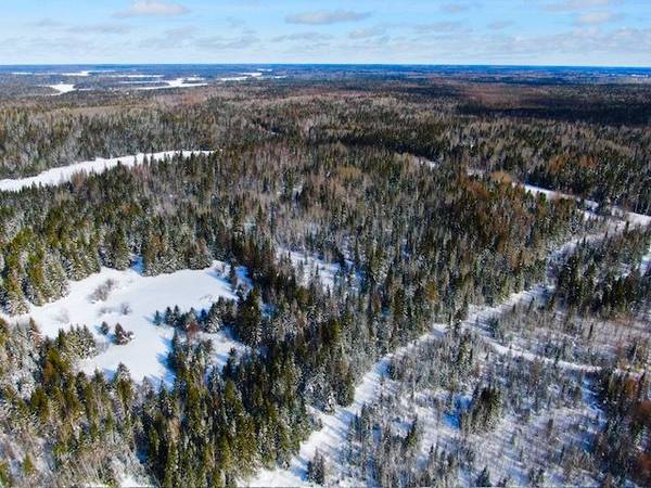 LT 7 CON 7 HANLAN Township, Hearst, ON P0L 1N0