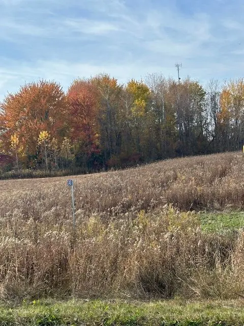 243 Arthur ST, North Huron, ON N0G 2W0