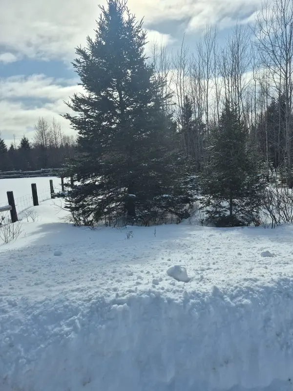 PT LOT 6 CON 24 CAMERON RD, Papineau-cameron, ON P0H 1V0