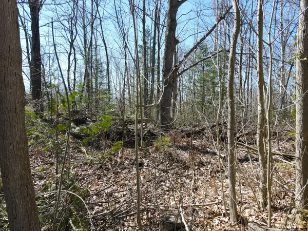 83 Silver Lake CRES, South Bruce Peninsula, ON N0H 2G0