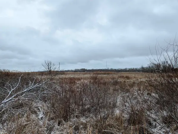 N/A Midshipman DR, Augrestownship_arenac, MI 48703