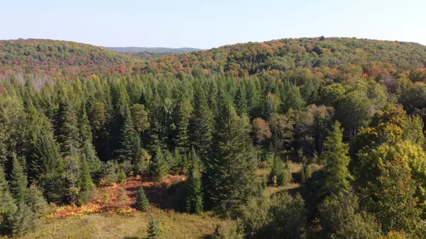 0 - Part 2 So-Ho Mish RD, Armour, ON P0A 1Y0