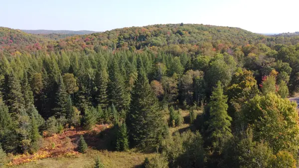 0 - Part 2 So-Ho Mish RD, Armour, ON P0A 1Y0