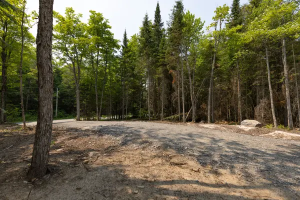 2212 Aspdin RD, Huntsville, ON P0B 1M0