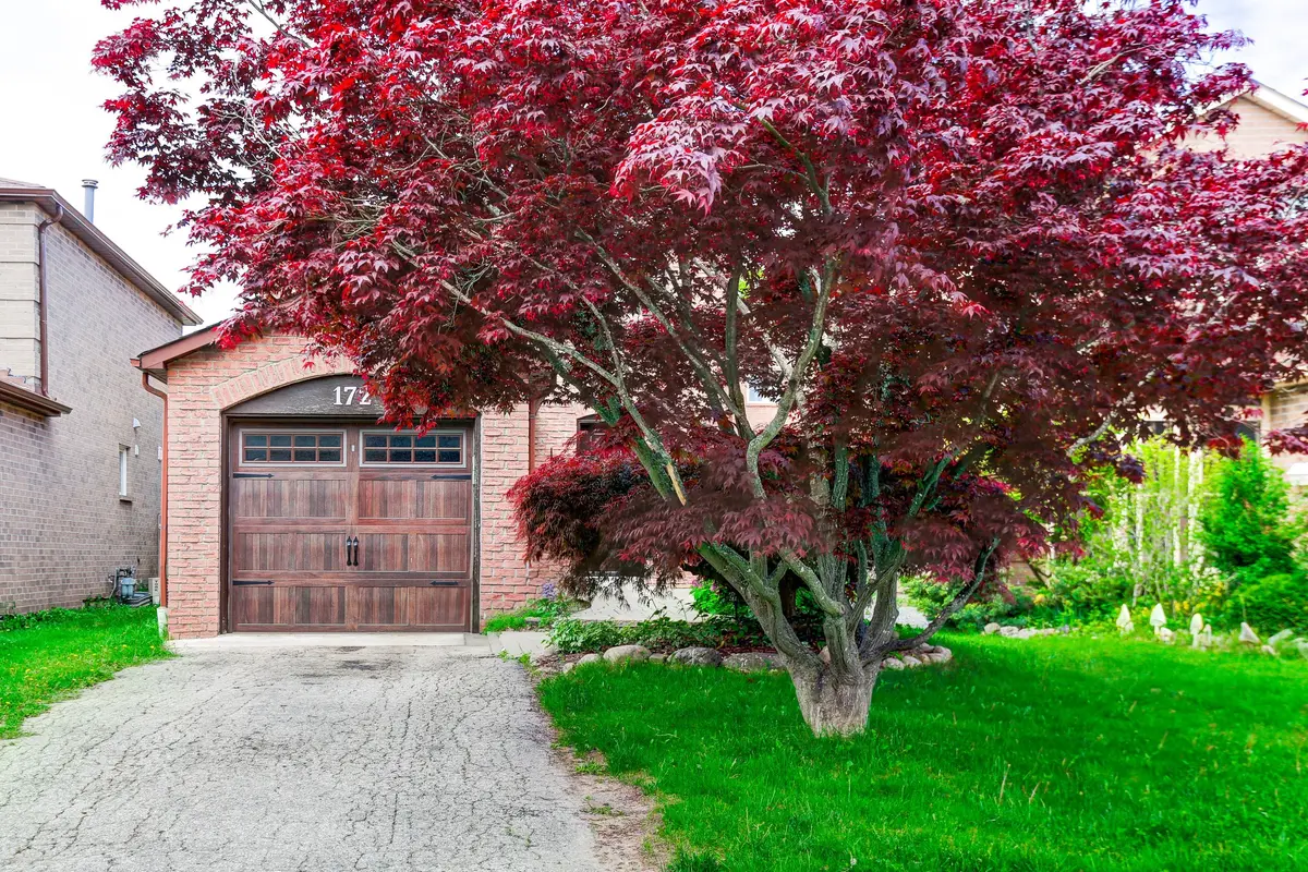 172 Radford DR, Ajax, ON L1T 2C2
