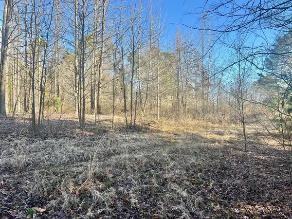 TBD CR 1670, Mount Pleasant, TX 75455