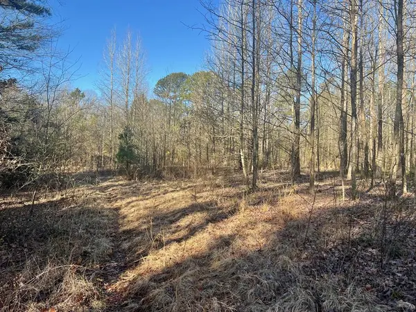 TBD CR 1670, Mount Pleasant, TX 75455