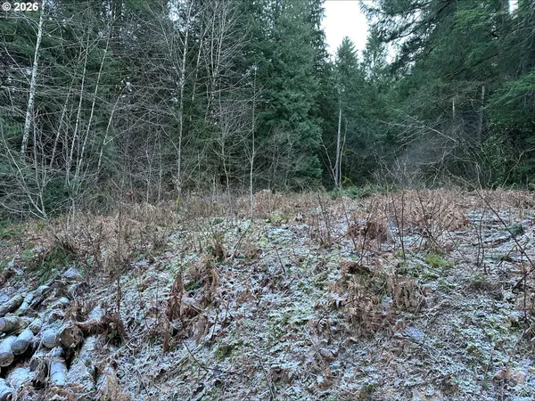 71360 E JENNIE LN, Rhododendron, OR 97049