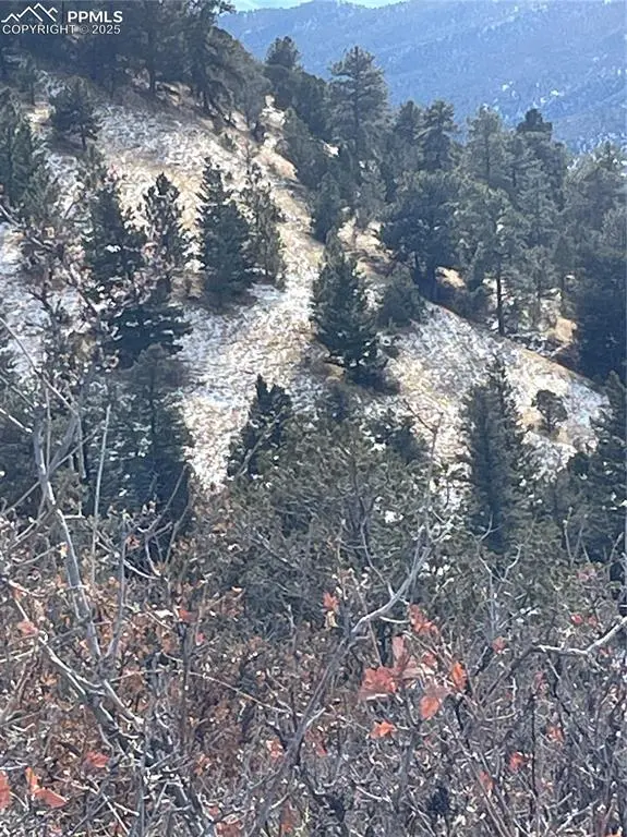 752 County Road 16, Cotopaxi, CO 81223