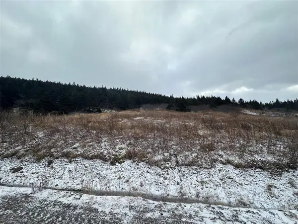 6B Top Road, Branch, NL A0B 1E0