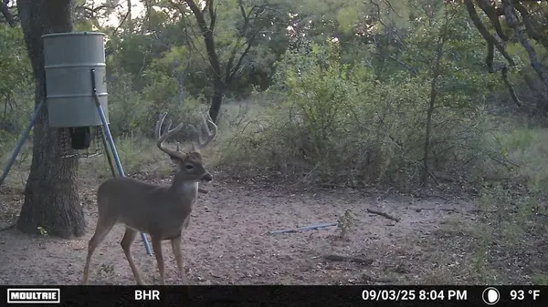 TBD CR 131, Comanche, TX 76857