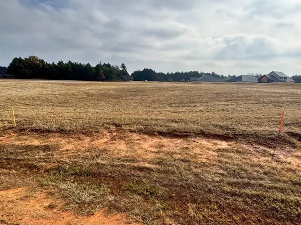 74 Palisades Drive,  Gordonville,  TX 76245