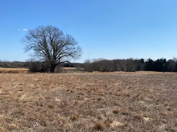 Athens, TX 75752,4101 CR 3703