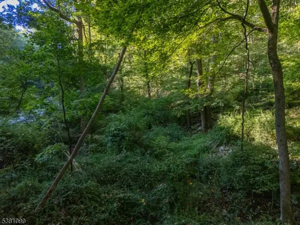 00 Sweet Hollow Road, Holland Twp., NJ 08848