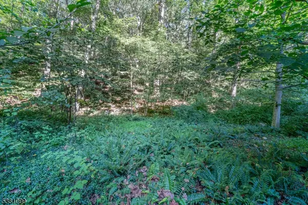 00 Sweet Hollow Road, Holland Twp., NJ 08848
