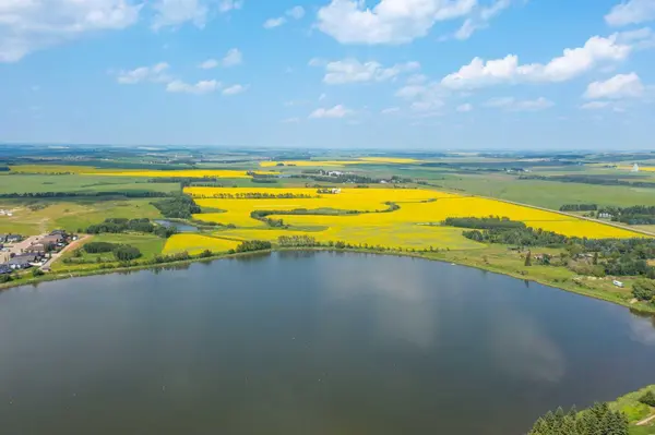 5901 50 AVE, Innisfail, AB T4G 1R7