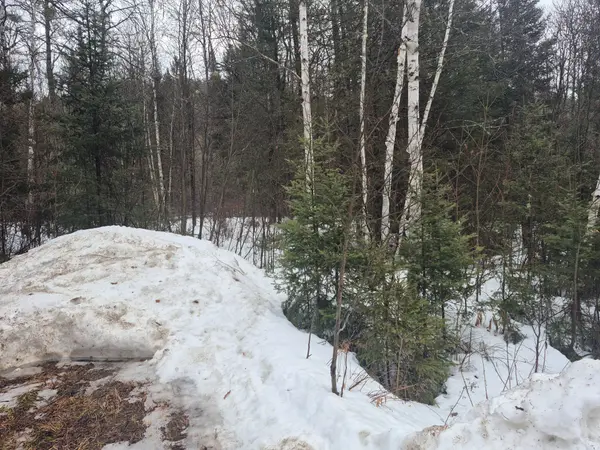 67 ARBUTUS TRL, Mattawan, ON P0H 1V0