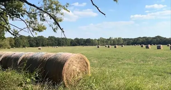 TBD Jay Road, Van Alstyne, TX 75495