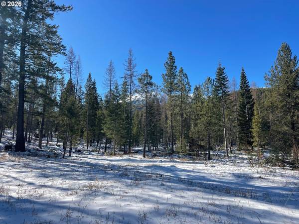 61005 LIME QUARRY RD, Enterprise, OR 97828