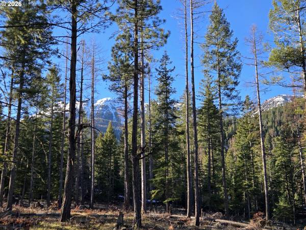 61005 LIME QUARRY RD, Enterprise, OR 97828