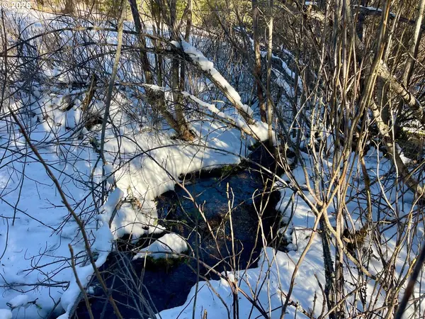 61005 LIME QUARRY RD, Enterprise, OR 97828