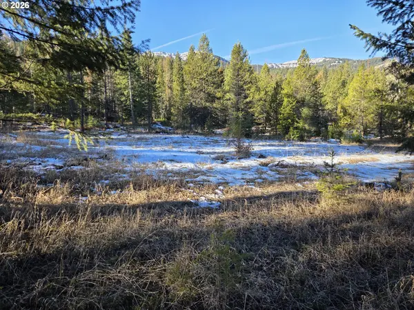 61005 LIME QUARRY RD, Enterprise, OR 97828