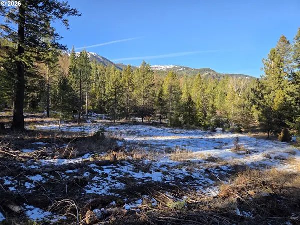 61005 LIME QUARRY RD, Enterprise, OR 97828