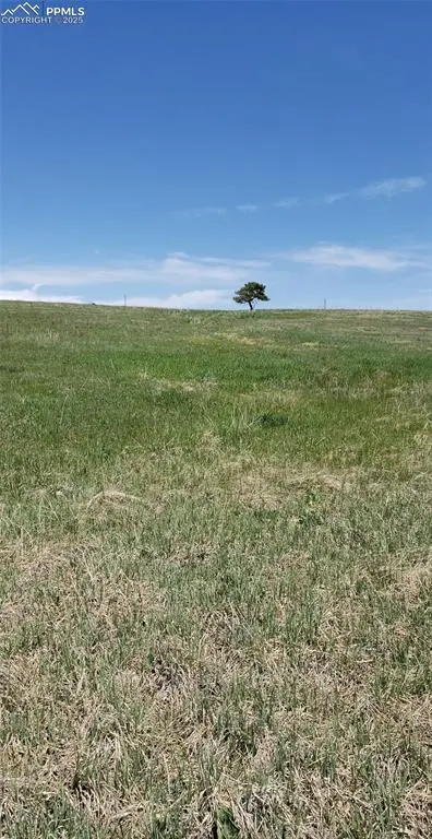 18795 Brown RD, Colorado Springs, CO 80908