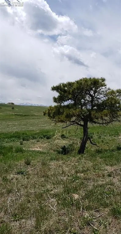 18795 Brown RD, Colorado Springs, CO 80908