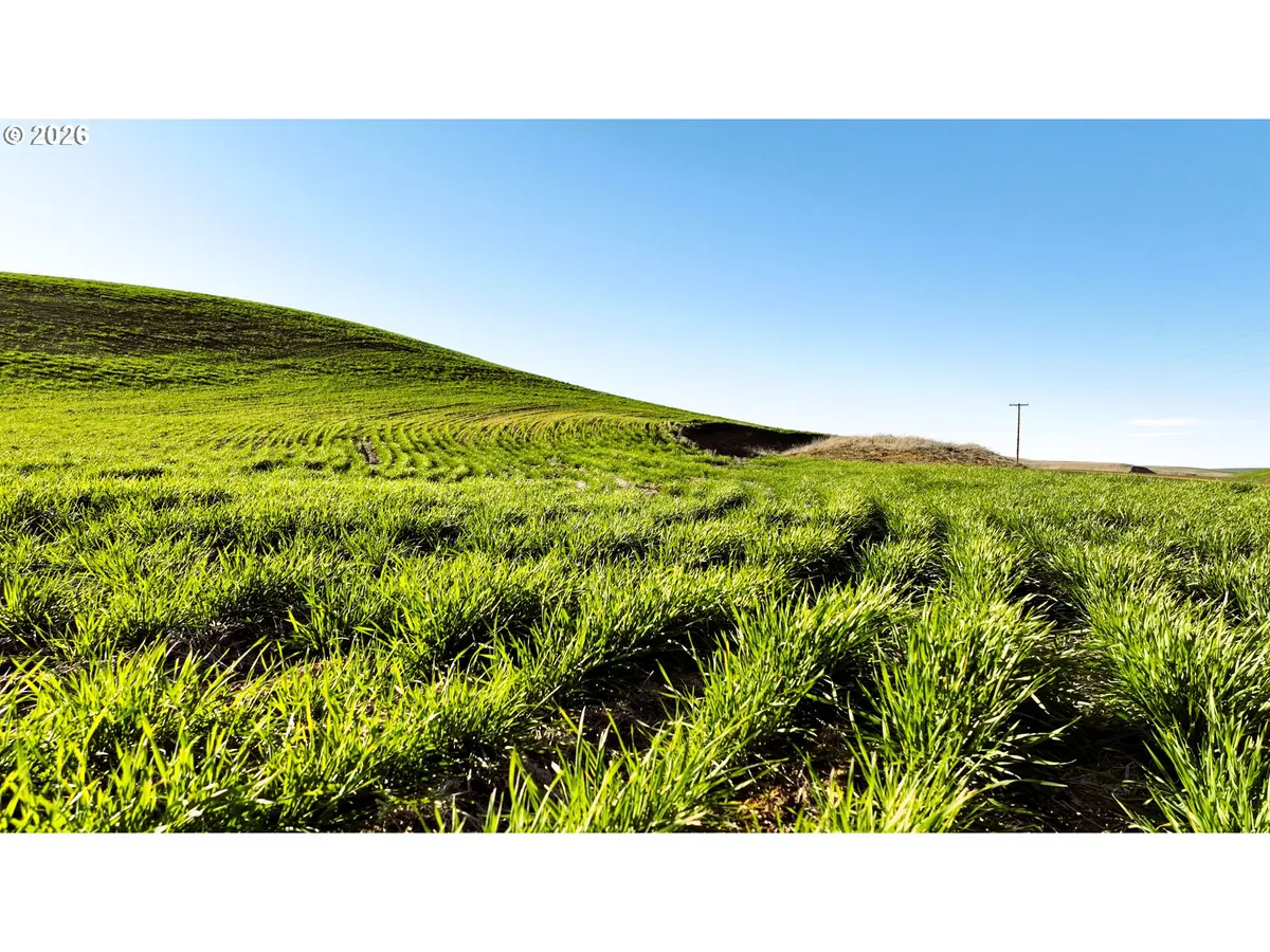 South Juniper Canyon, Helix, OR 97835