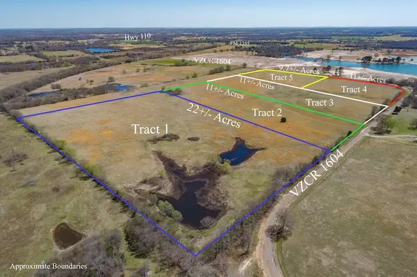 Tract 1 CR 1604, Grand Saline, TX 75140