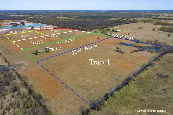 Tract 1 CR 1604, Grand Saline, TX 75140